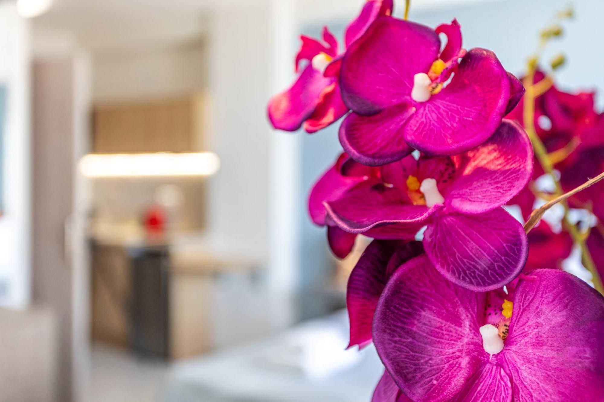 Marina Aparthotel Kardhamili Ngoại thất bức ảnh